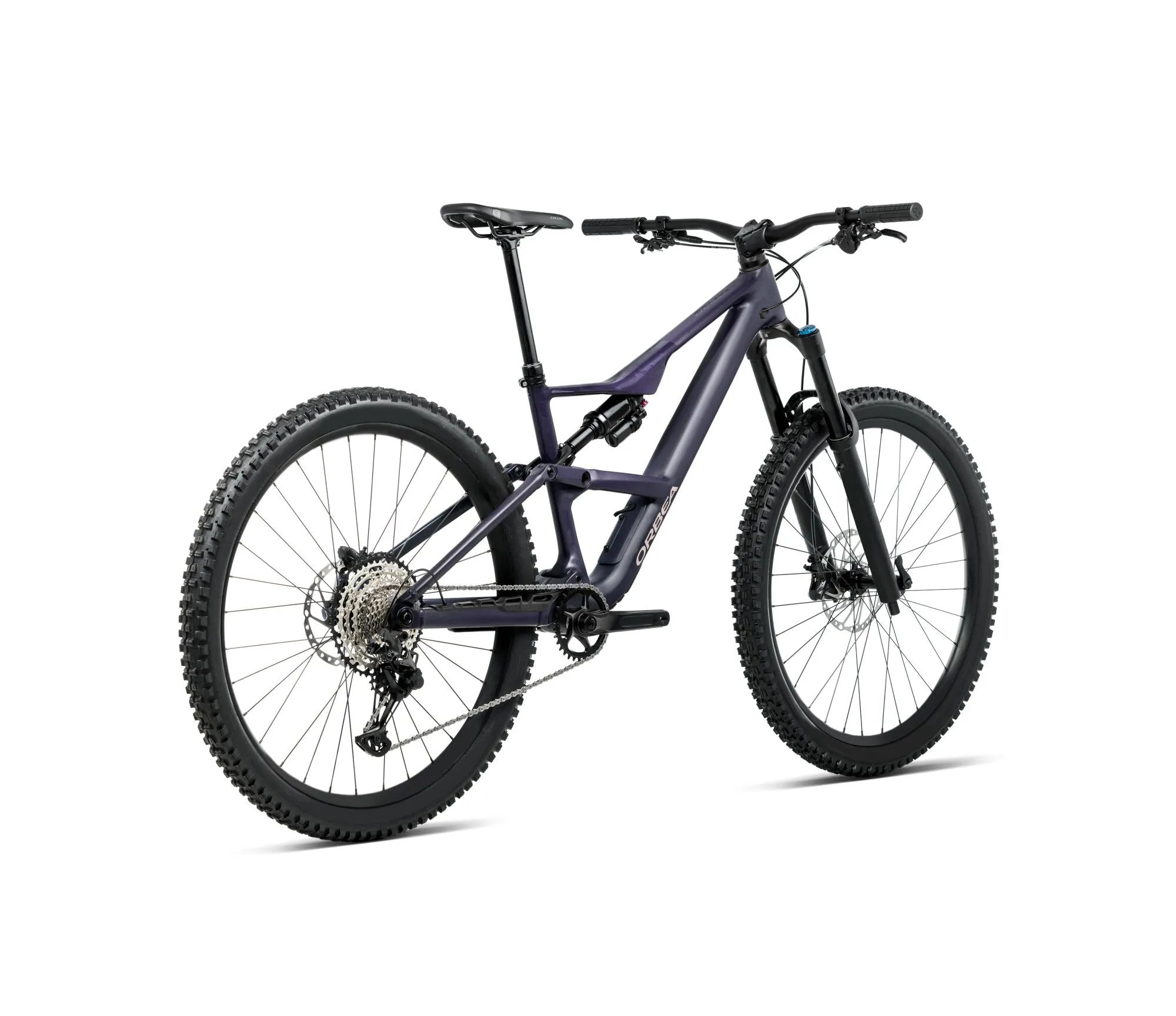 T245TTCC-PF-BACK-OCCAM_LT_H10