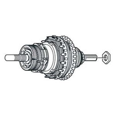 Conjunto Interno Shimano SG-3C41 178mm Plata