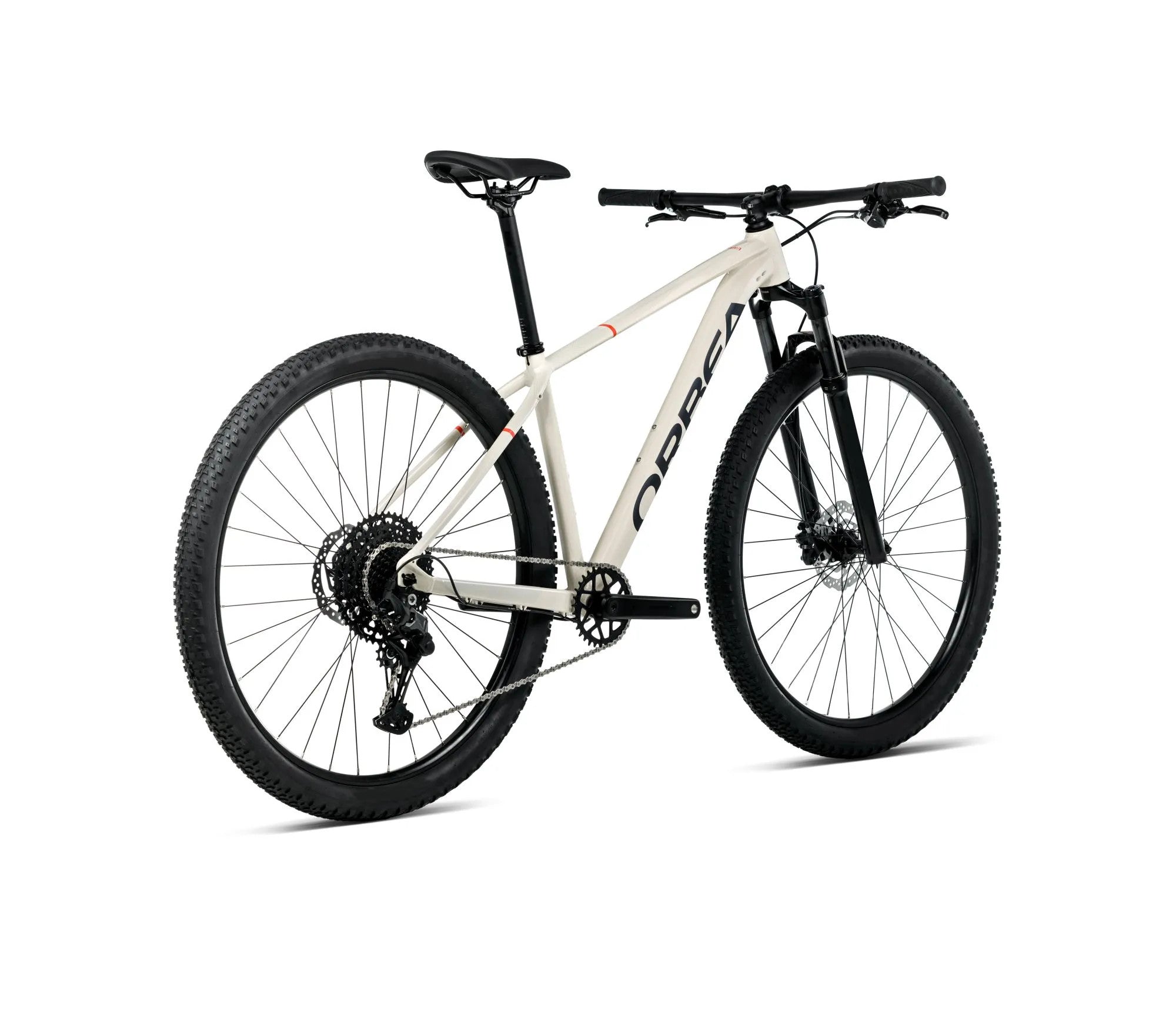 T207TTCC-RF-BACK-ONNA_29_20
