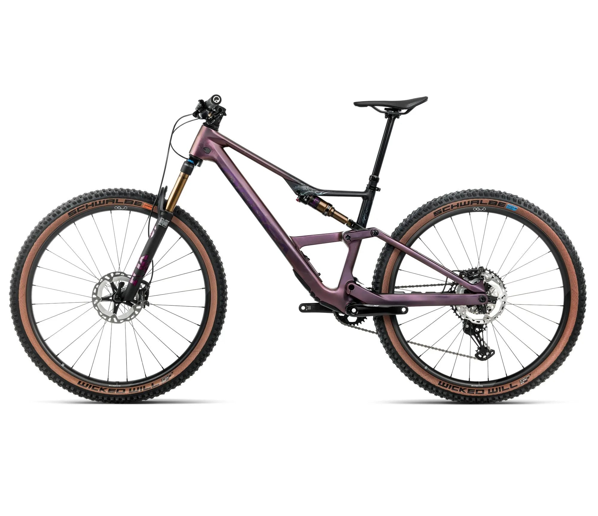 T241TTCC-M3-SIDE2-OCCAM_SL_M10