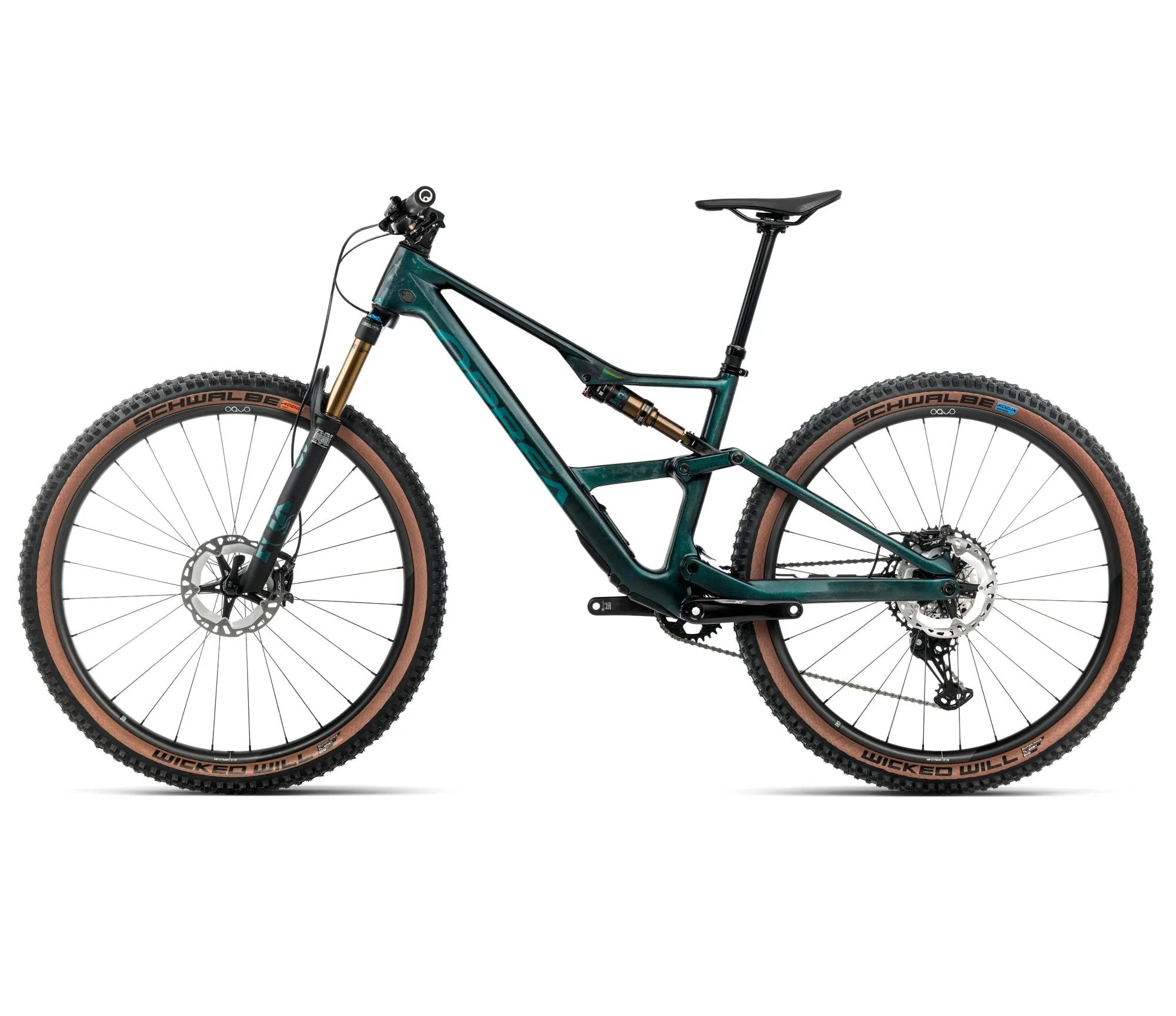 T241TTCC-M5-SIDE2-OCCAM_SL_M10