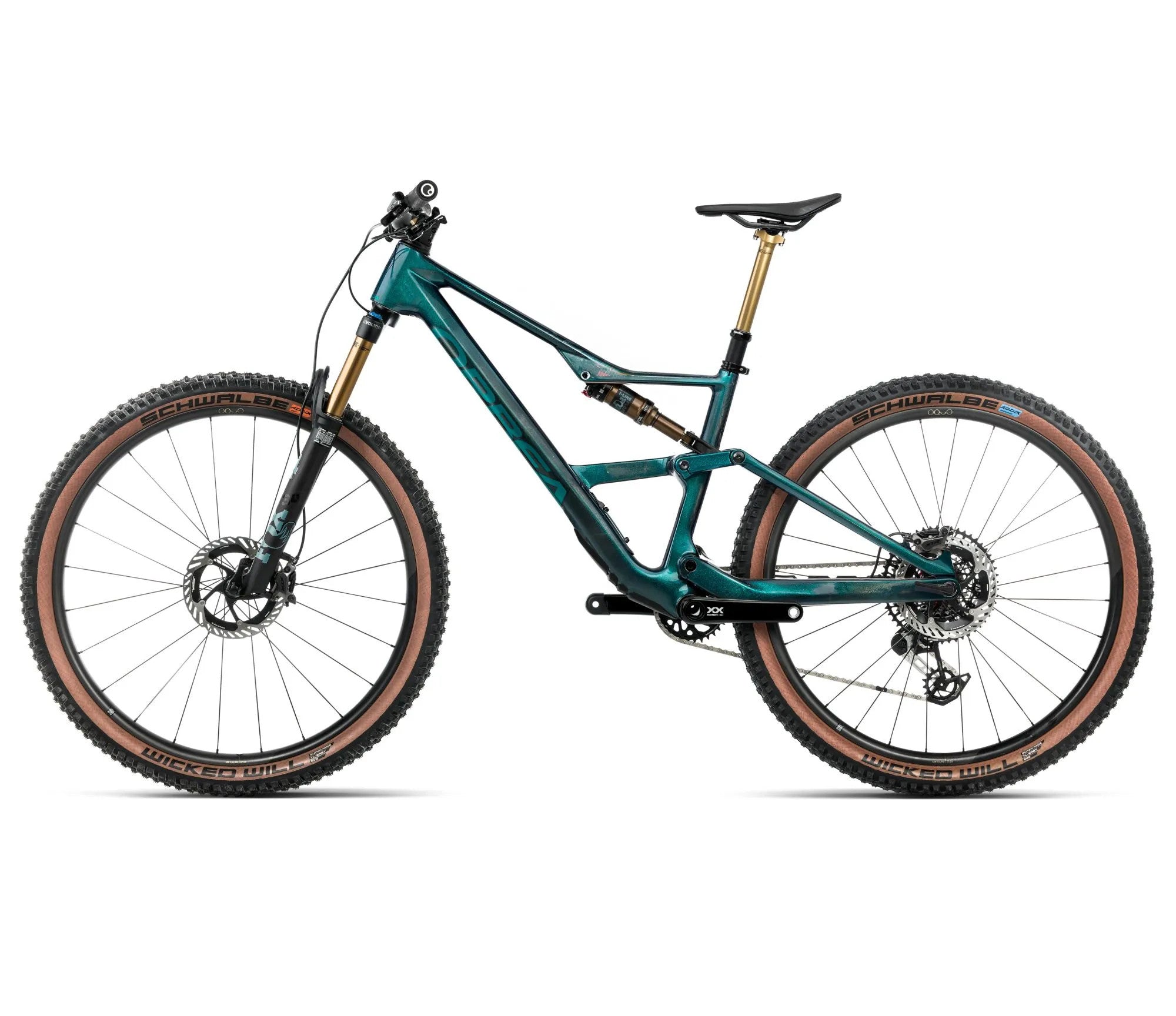 T242TTCC-M5-SIDE2-OCCAM_SL_MLTD