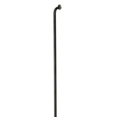 Radios Dt Champion 295x2mm Sin Cabecillas Negro 1 Unidad
