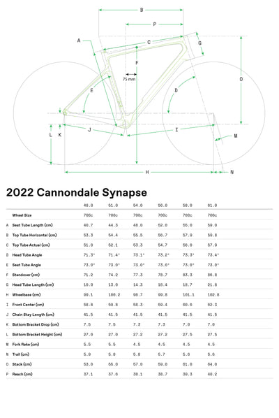 Bicicletas Carretera Synapse Carbon 2 RLE Cannondale 2024 Grey #8