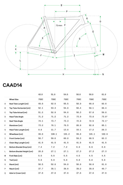 Cannondale CAAD14 3 SMU 2026 Gris - Geometría